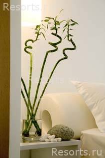 Petasos Beach Resort & SPA 9